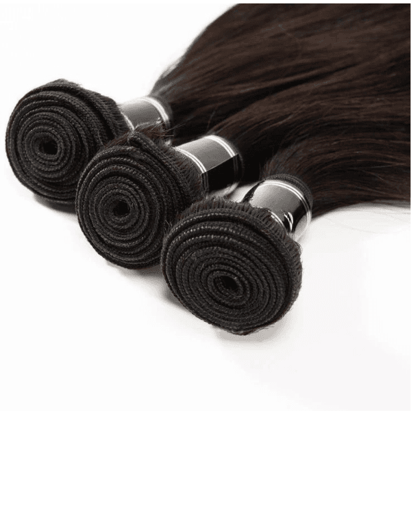 3 Bundles Deal with 4x4 Lace Closure – Straight Raw Indian Temple Human Hair | Bella Hararo			